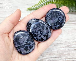 Indigo Gabbro | Mystic Merlinite Palm Stone