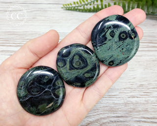 Kambaba Palm Stone