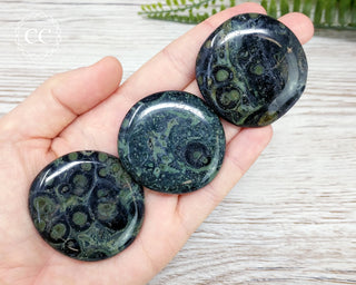 Kambaba Palm Stones in hand