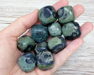 Kambaba Tumbled Crystals in hand