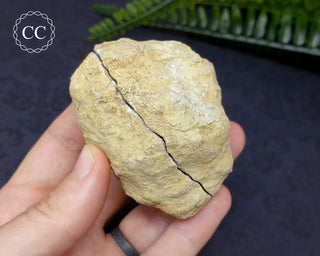 Kaolinite Geode - Illinois #4