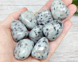 Kiwi Jasper Tumbled Crystal