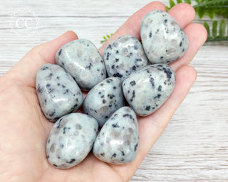 Kiwi Jasper Tumbled Crystals in hand