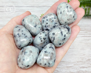 Kiwi Jasper Tumbled Crystal