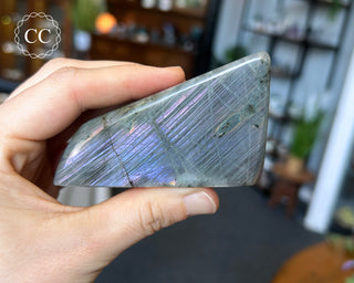 Labradorite Freeform #5