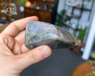 Labradorite Freeform #5