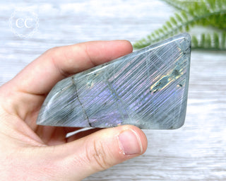 Labradorite Freeform #5