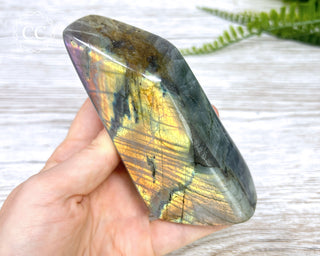 Labradorite Freeform #4