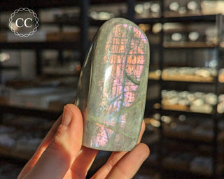 Purple Labradorite Freeform #31