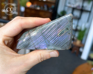 Labradorite Freeform #5