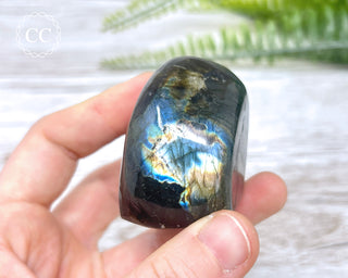 A Grade Mini Labradorite Freeform #1