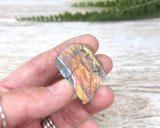 Labradorite Top Polished Slice