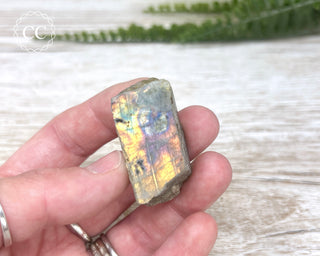 Labradorite Top Polished Slice