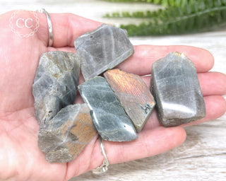 Labradorite Top Polished Slice