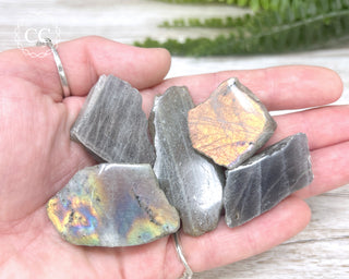 Labradorite Top Polished Slice