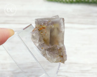 Lady Annabella Mine Fluorite #23