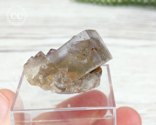Lady Annabella Mine Fluorite #23