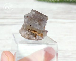 Lady Annabella Mine Fluorite #23