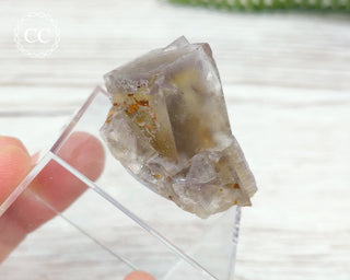 Lady Annabella Mine Fluorite #23