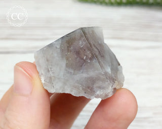 Lady Annabella Mine Fluorite #1