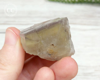 Lady Annabella Mine Fluorite #10