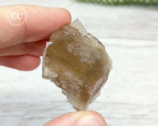 Lady Annabella Mine Fluorite #11