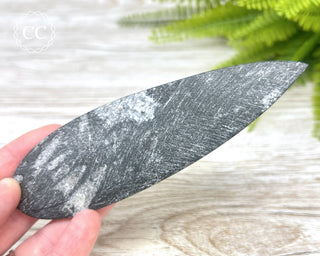 Large Orthoceras Fossil #2
