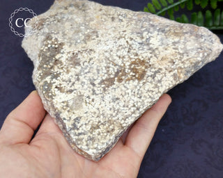 Large Ocean Jasper Rough Specimen #2