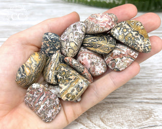 Leopard Skin Jasper Tumbled Crystal