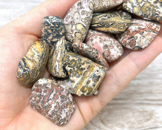 Leopard Skin Jasper Tumbled Crystal