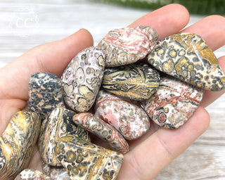 Leopard Skin Jasper Tumbled Crystal