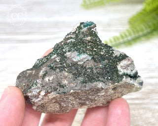 Libethenite -Portugal #5