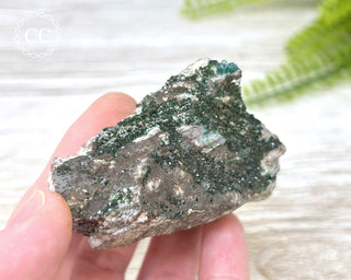 Libethenite -Portugal #5