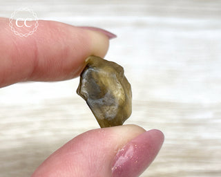 Libyan Desert Glass #9