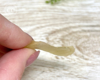 Libyan Desert Glass #14