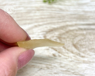 Libyan Desert Glass #16