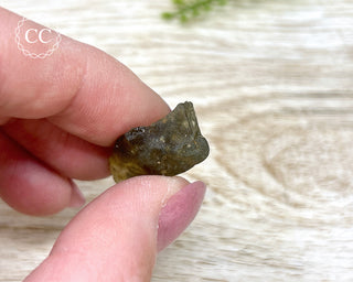 Libyan Desert Glass #2