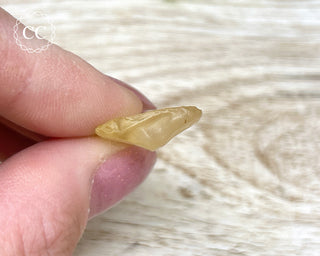 Libyan Desert Glass #21