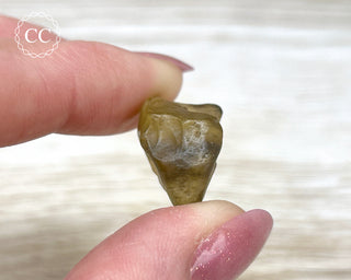 Libyan Desert Glass #9