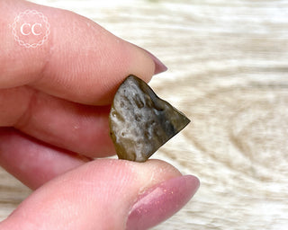 Libyan Desert Glass #5