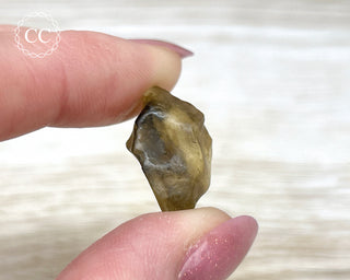 Libyan Desert Glass #9