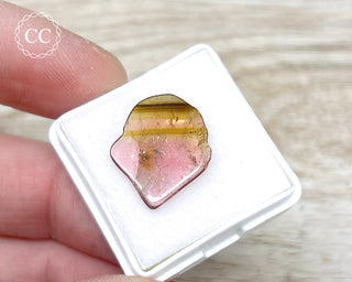 Liddicoatite Tourmaline Slice #8