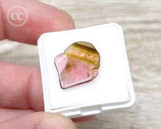 Liddicoatite Tourmaline Slice #8