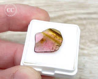 Liddicoatite Tourmaline Slice #8