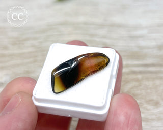 Liddicoatite Tourmaline Slice #1