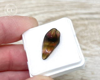 Liddicoatite Tourmaline Slice #11