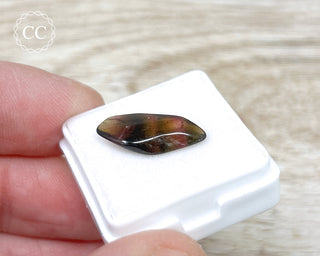 Liddicoatite Tourmaline Slice #11