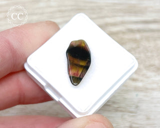 Liddicoatite Tourmaline Slice #11