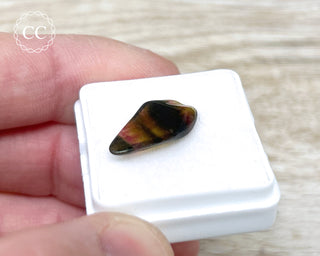 Liddicoatite Tourmaline Slice #11