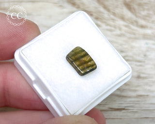 Liddicoatite Tourmaline Slice #13